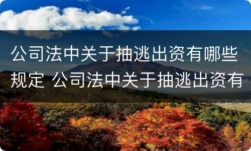 公司法中关于抽逃出资有哪些规定 公司法中关于抽逃出资有哪些规定呢