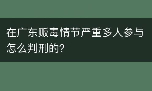 在广东贩毒情节严重多人参与怎么判刑的？