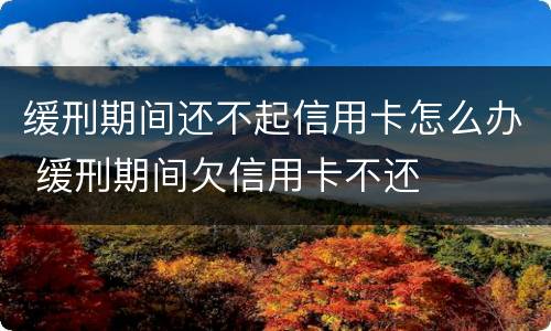 缓刑期间还不起信用卡怎么办 缓刑期间欠信用卡不还