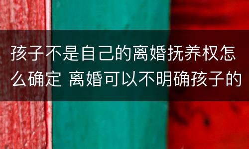 孩子不是自己的离婚抚养权怎么确定 离婚可以不明确孩子的抚养权归属吗