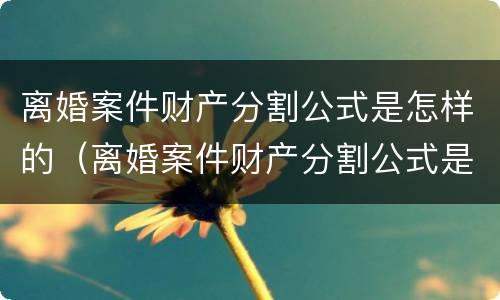 离婚案件财产分割公式是怎样的（离婚案件财产分割公式是怎样的呢）