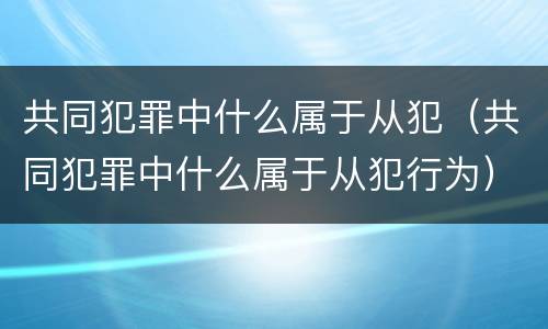 共同犯罪中什么属于从犯（共同犯罪中什么属于从犯行为）