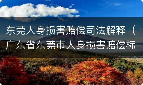 东莞人身损害赔偿司法解释（广东省东莞市人身损害赔偿标准）
