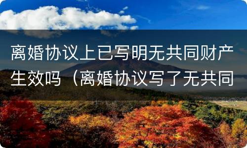 离婚协议上已写明无共同财产生效吗（离婚协议写了无共同财产）