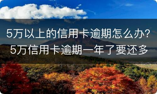 5万以上的信用卡逾期怎么办？ 5万信用卡逾期一年了要还多少