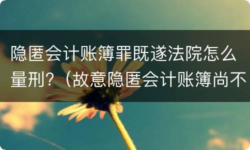 隐匿会计账簿罪既遂法院怎么量刑?（故意隐匿会计账簿尚不构成犯罪的）