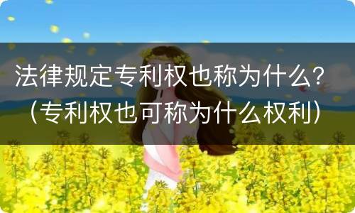 法律规定专利权也称为什么？（专利权也可称为什么权利）