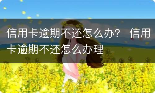 信用卡逾期不还怎么办？ 信用卡逾期不还怎么办理