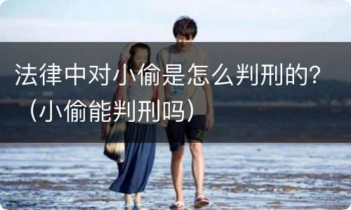 法律中对小偷是怎么判刑的？（小偷能判刑吗）