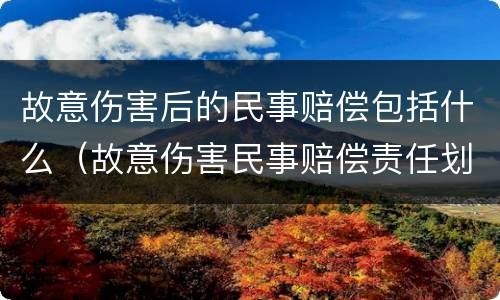 故意伤害后的民事赔偿包括什么（故意伤害民事赔偿责任划分）