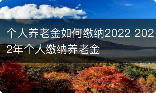 个人养老金如何缴纳2022 2022年个人缴纳养老金