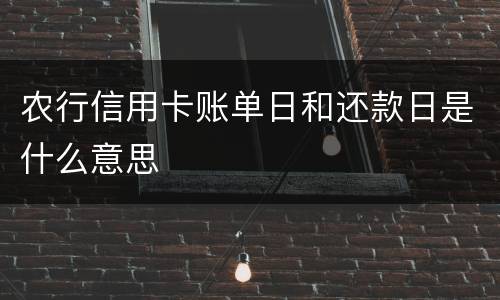 农行信用卡账单日和还款日是什么意思
