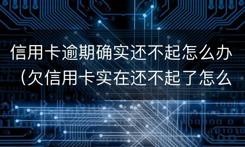 信用卡逾期确实还不起怎么办（欠信用卡实在还不起了怎么办）