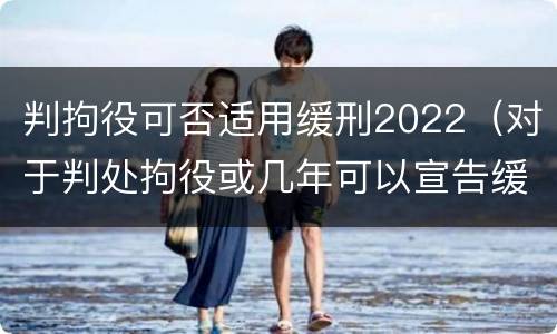 判拘役可否适用缓刑2022（对于判处拘役或几年可以宣告缓刑）