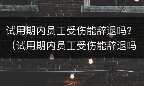 试用期内员工受伤能辞退吗？（试用期内员工受伤能辞退吗怎么赔偿）