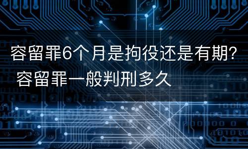 容留罪6个月是拘役还是有期？ 容留罪一般判刑多久