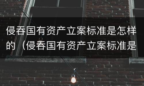 侵吞国有资产立案标准是怎样的（侵吞国有资产立案标准是怎样的呢）