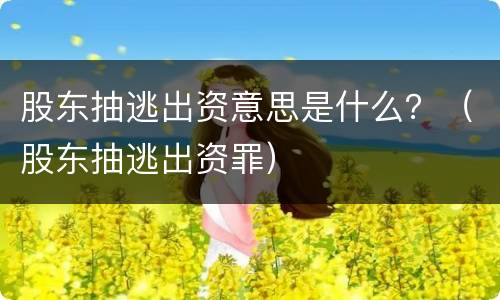 股东抽逃出资意思是什么？（股东抽逃出资罪）