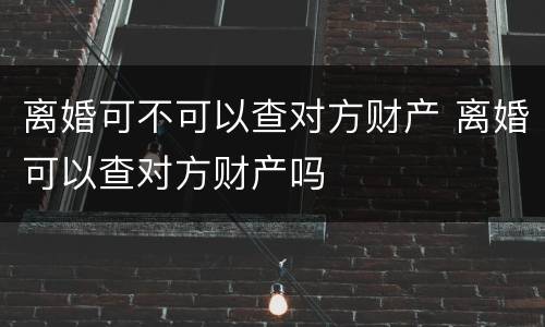 离婚可不可以查对方财产 离婚可以查对方财产吗
