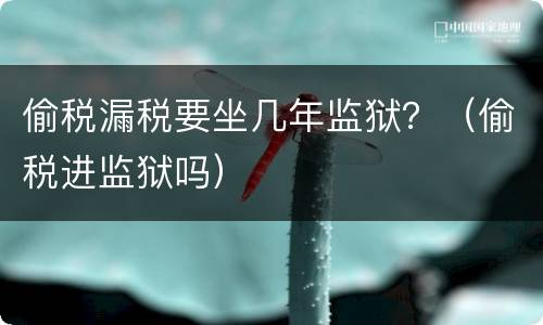 偷税漏税要坐几年监狱？（偷税进监狱吗）