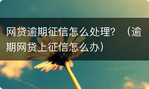 网贷逾期征信怎么处理？（逾期网贷上征信怎么办）