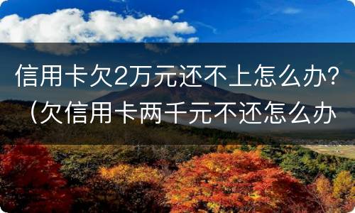 信用卡欠2万元还不上怎么办？（欠信用卡两千元不还怎么办）
