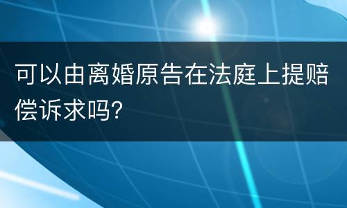 可以由离婚原告在法庭上提赔偿诉求吗？