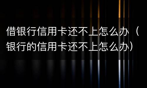 借银行信用卡还不上怎么办（银行的信用卡还不上怎么办）