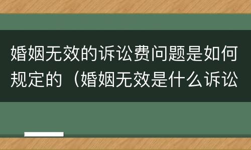 婚姻无效的诉讼费问题是如何规定的（婚姻无效是什么诉讼）