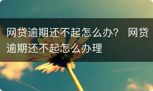网贷逾期还不起怎么办？ 网贷逾期还不起怎么办理