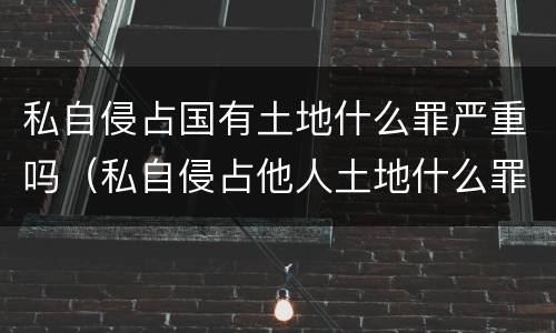 私自侵占国有土地什么罪严重吗（私自侵占他人土地什么罪）