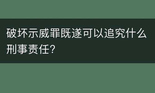 破坏示威罪既遂可以追究什么刑事责任?