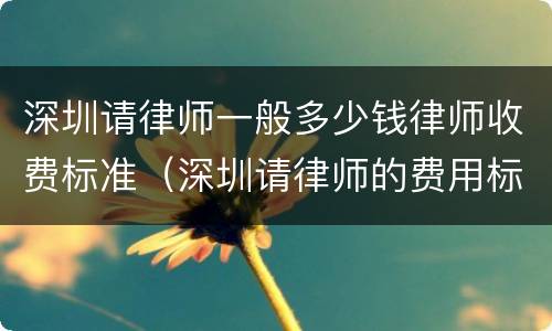 深圳请律师一般多少钱律师收费标准（深圳请律师的费用标准）