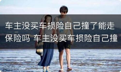 车主没买车损险自己撞了能走保险吗 车主没买车损险自己撞了能走保险吗多少钱