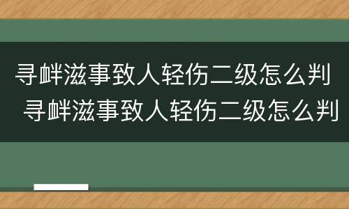 寻衅滋事致人轻伤二级怎么判 寻衅滋事致人轻伤二级怎么判的