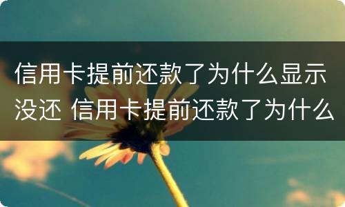 信用卡提前还款了为什么显示没还 信用卡提前还款了为什么显示没还款