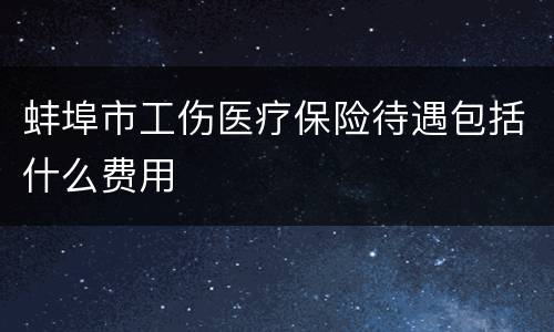 蚌埠市工伤医疗保险待遇包括什么费用