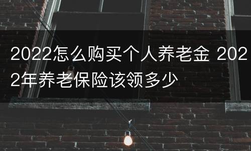2022怎么购买个人养老金 2022年养老保险该领多少