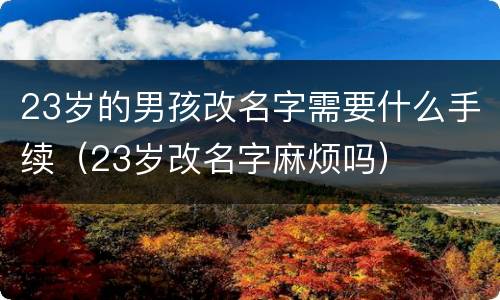 23岁的男孩改名字需要什么手续（23岁改名字麻烦吗）