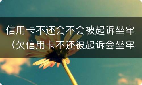 信用卡不还会不会被起诉坐牢（欠信用卡不还被起诉会坐牢吗）