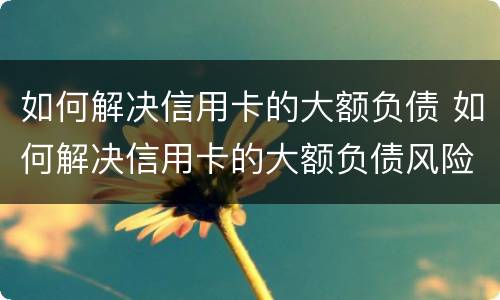 如何解决信用卡的大额负债 如何解决信用卡的大额负债风险