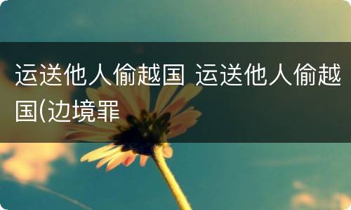 运送他人偷越国 运送他人偷越国(边境罪