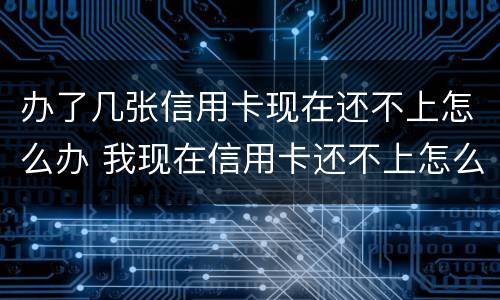 办了几张信用卡现在还不上怎么办 我现在信用卡还不上怎么办