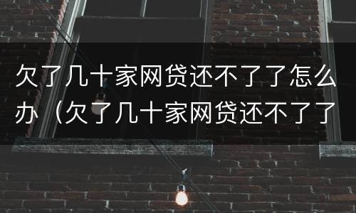 欠了几十家网贷还不了了怎么办（欠了几十家网贷还不了了怎么办?）