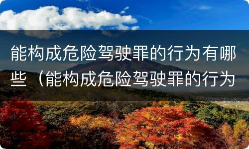 能构成危险驾驶罪的行为有哪些（能构成危险驾驶罪的行为有哪些种类）