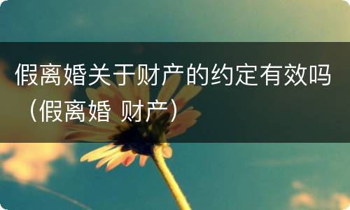 假离婚关于财产的约定有效吗（假离婚 财产）