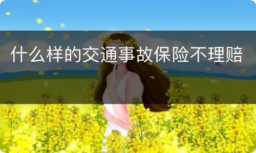 什么样的交通事故保险不理赔