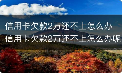 信用卡欠款2万还不上怎么办 信用卡欠款2万还不上怎么办呢