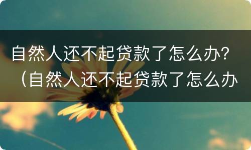 自然人还不起贷款了怎么办？（自然人还不起贷款了怎么办）