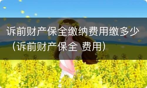诉前财产保全缴纳费用缴多少（诉前财产保全 费用）